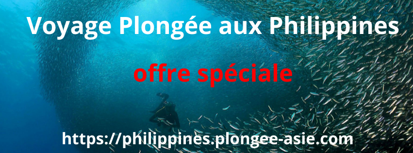 Plongée aux Philippines : L'annuaire des sites de plongée & spots 🇵 Plongée aux Philippines : L'annuaire des sites de plongée & spots 🇵